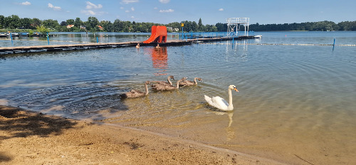 langer Steg ins Wasser